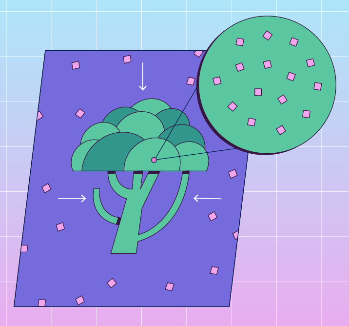 Interactive web-app: cooking science